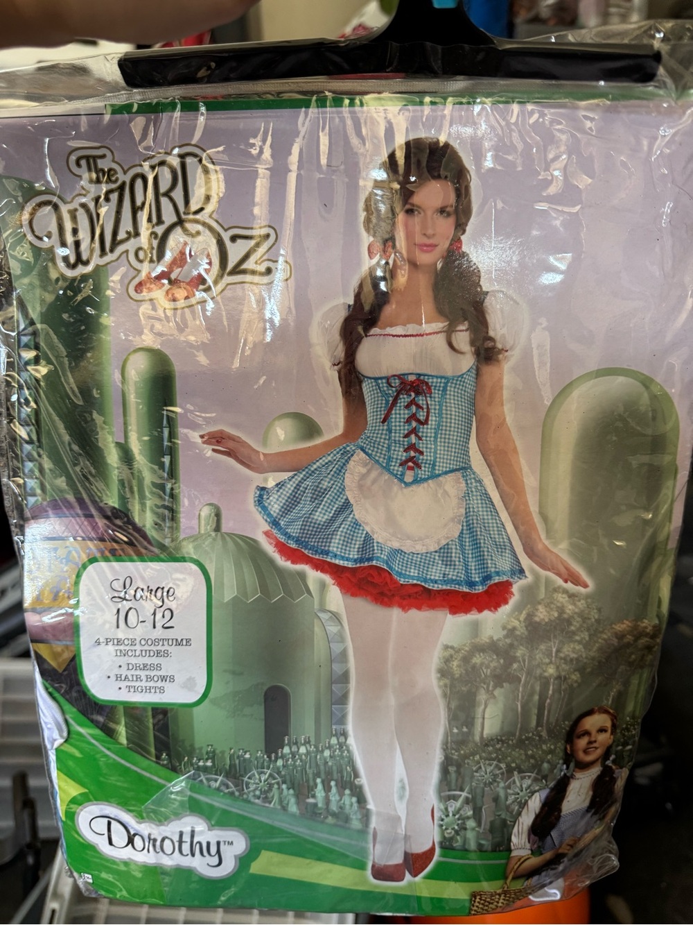 Dorothy Wizard of Oz Women’s Costume